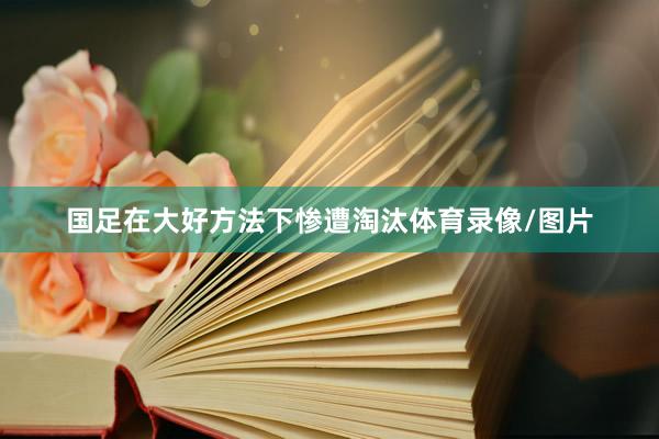 国足在大好方法下惨遭淘汰体育录像/图片