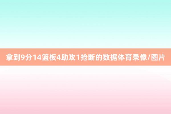 拿到9分14篮板4助攻1抢断的数据体育录像/图片