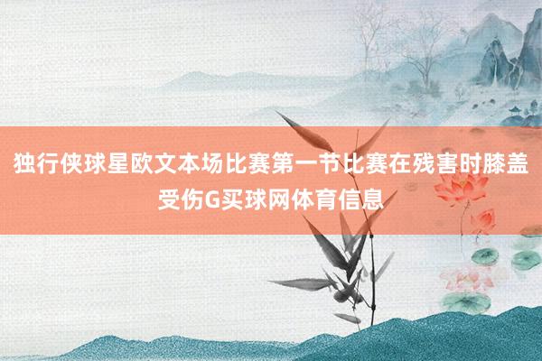 独行侠球星欧文本场比赛第一节比赛在残害时膝盖受伤G买球网体育信息