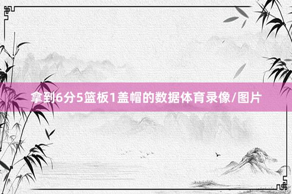 拿到6分5篮板1盖帽的数据体育录像/图片