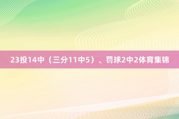 23投14中（三分11中5）、罚球2中2体育集锦